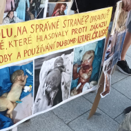 Podporovatelé Palestiny protestují proti podpoře agresivního Izraele Českou vládou, proti izraelské brutalitě a genocidě v Gaze. Fialovo vláda má pro Izrael v Gaze pochopení?!