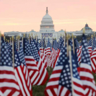V USA to někteří komentují tak, že tyto vlaječky představují ty desetitisíce mrtvých lidí, kteří volili Joe Bidena za prezidenta USA!